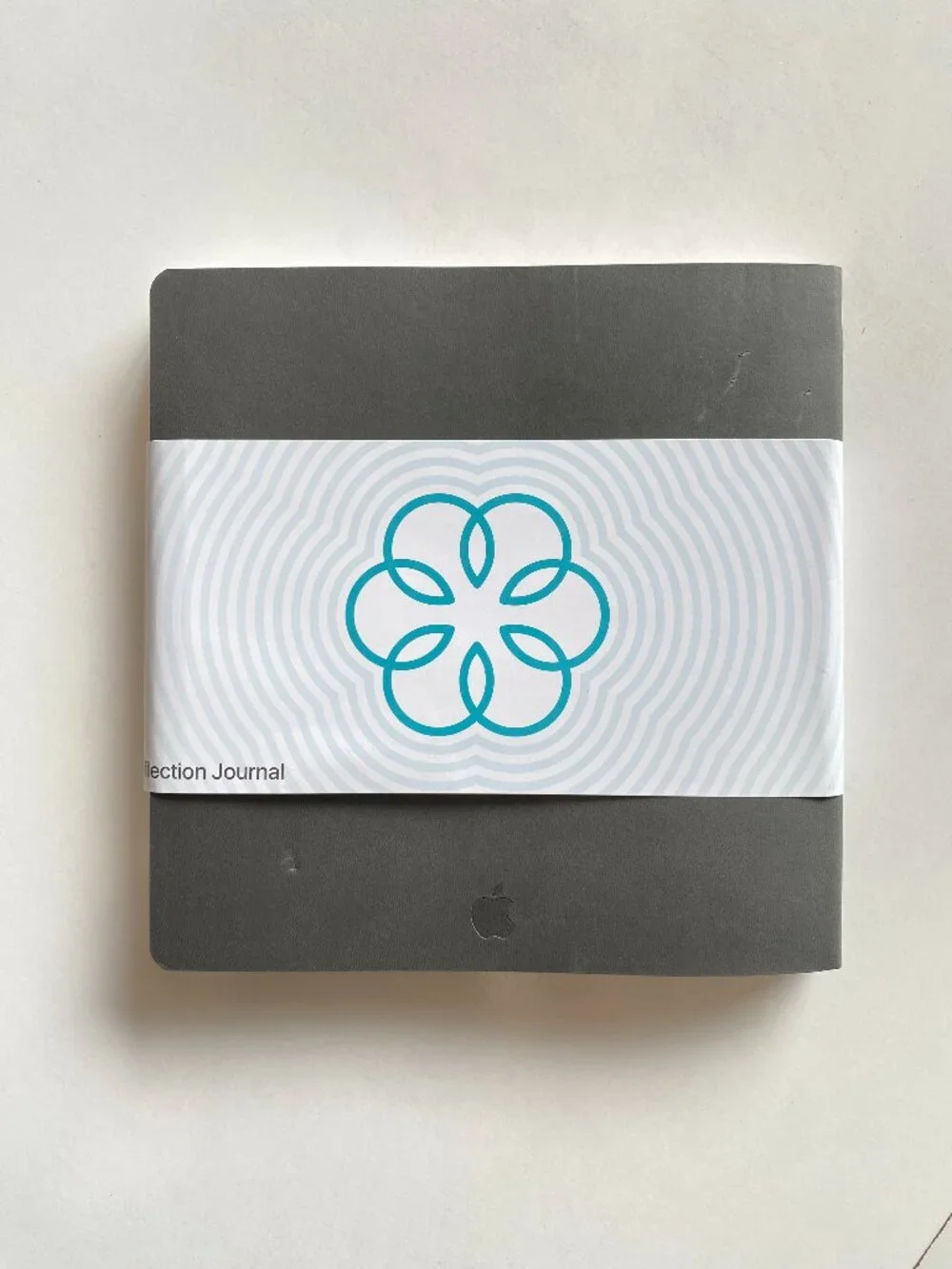 Apple Employee Mindful Minute Challenge 2025 Reflection Journal NEW